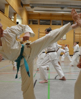 Shotokan Karate